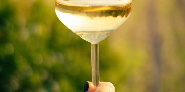 Introducing Liquid Sunshine: your go-to flight for summer wines