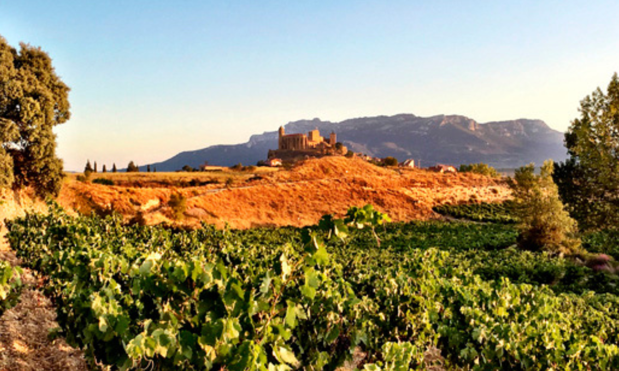 Exopto Rioja