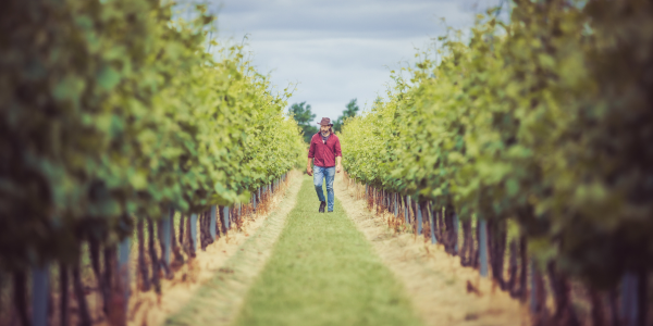 Meet Our Winemaker: José Quintana
