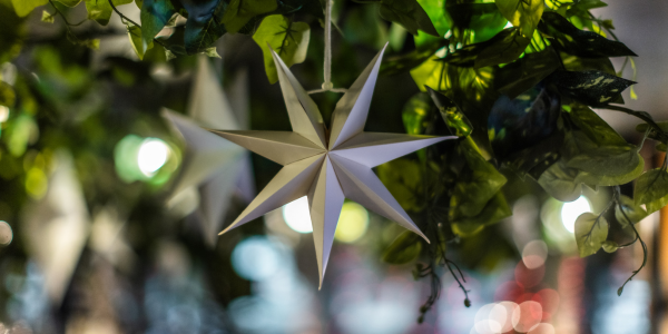 Gift Some Vagabond This Christmas